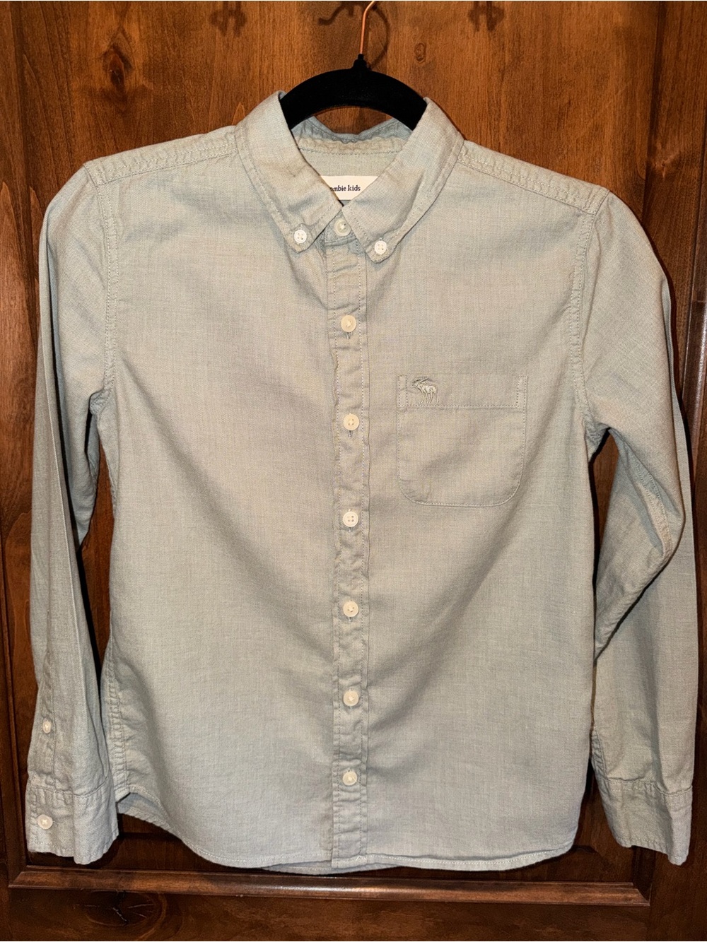 Abercrombie Kids Boys Size 9/10 Light Green LS Button-Down Shirt